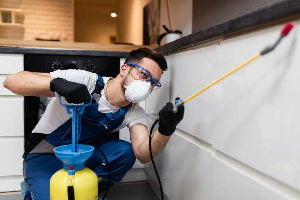 Pest Control Cost in Painted Post, NY